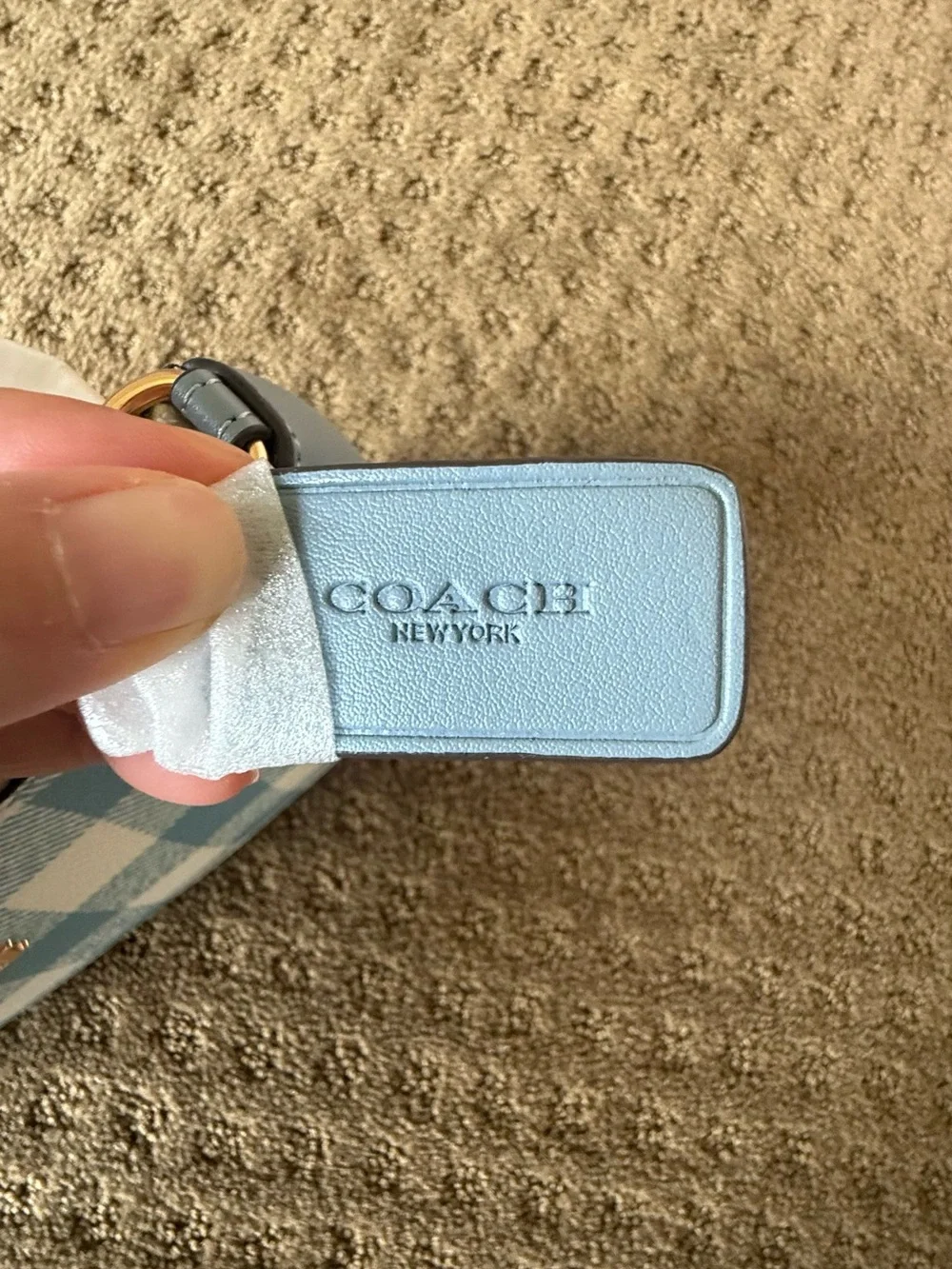 NWOT Coach Teri Shoulder Bag Gingham Print Jacquard Blue CES65 Crossbody